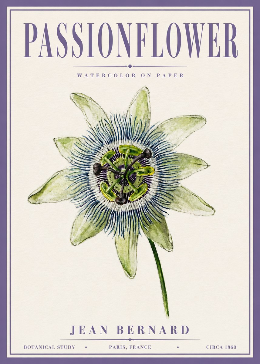 Jean Bernard Passionflower No6 - Juliste