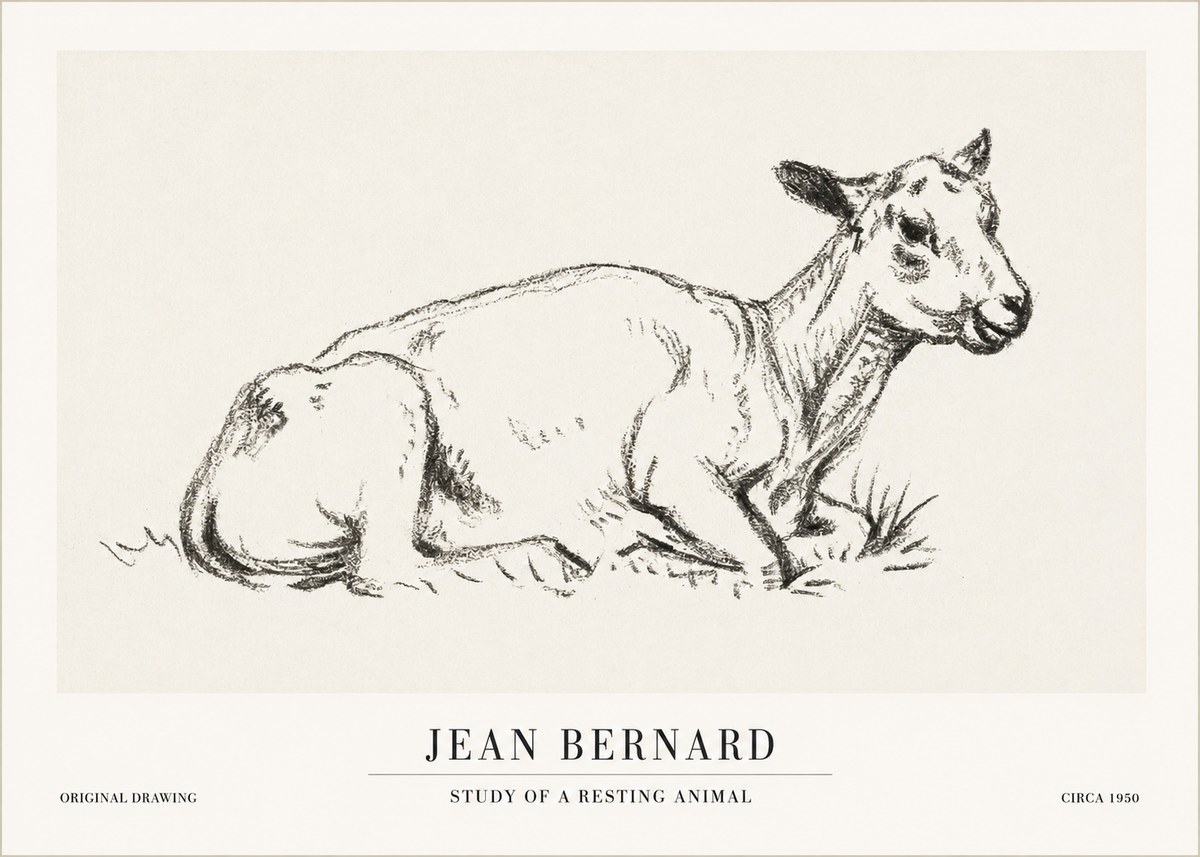 Jean Bernard Study of a Resting Animal No1 - Juliste