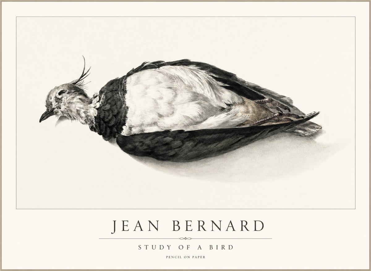 Jean Bernard Study of a Bird II No2 - Juliste