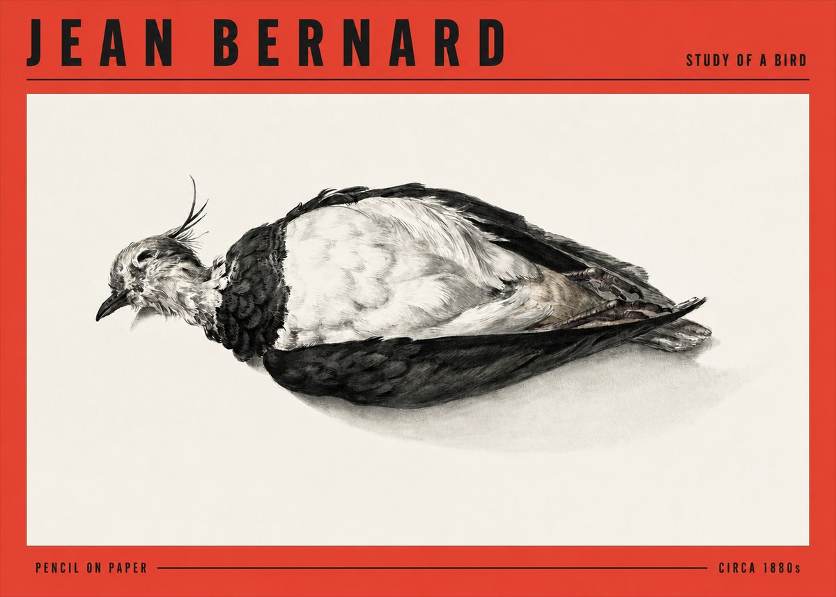 Jean Bernard Study of a Bird II No3 - Juliste