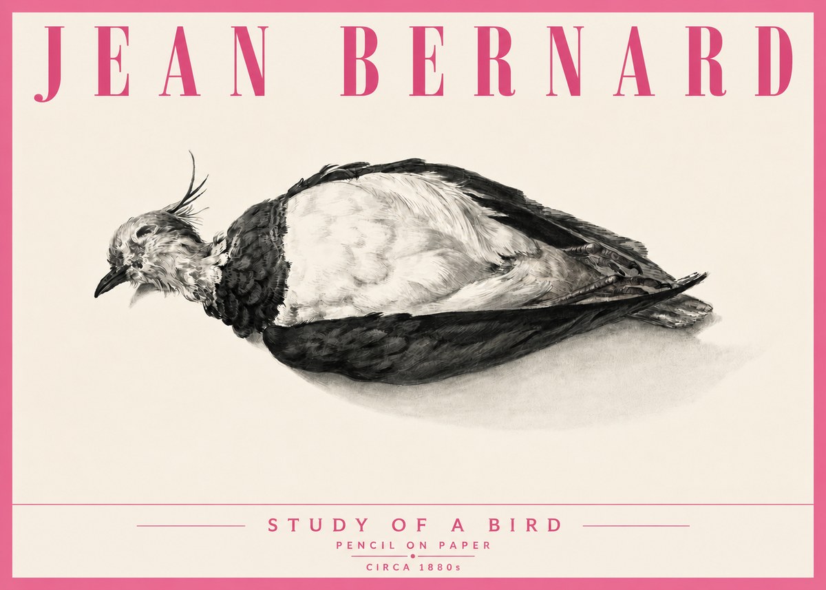 Jean Bernard Study of a Bird II No6 - Juliste
