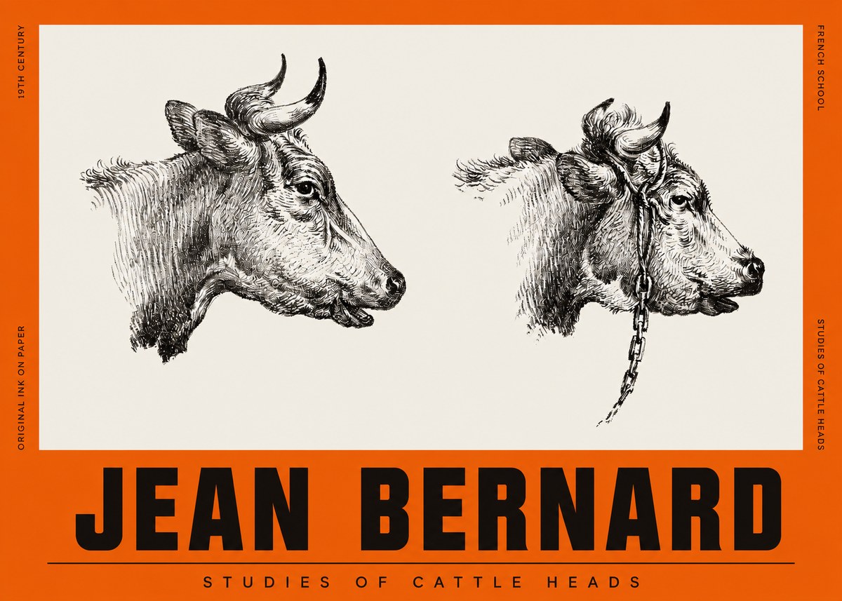 Jean Bernard Studies of Cattle Heads No2 - Juliste