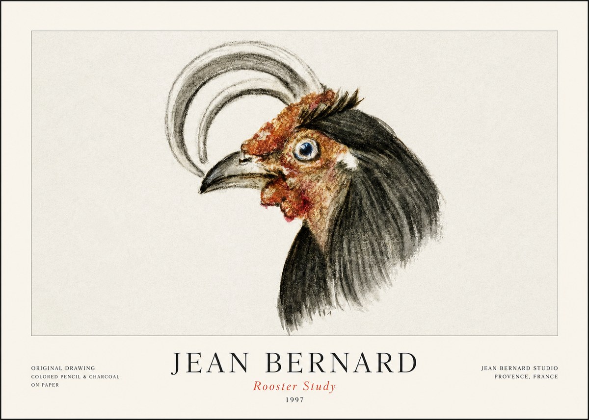 Jean Bernard Rooster Study No1 - Juliste