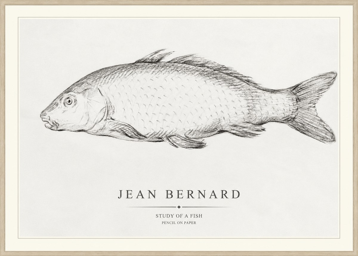 Jean Bernard Study of a Fish III No1 - Juliste