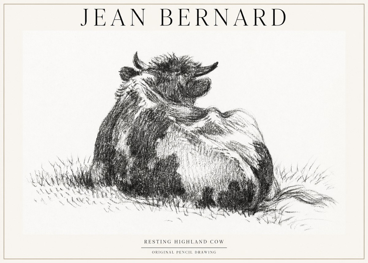 Jean Bernard Resting Highland Cow No1 - Juliste