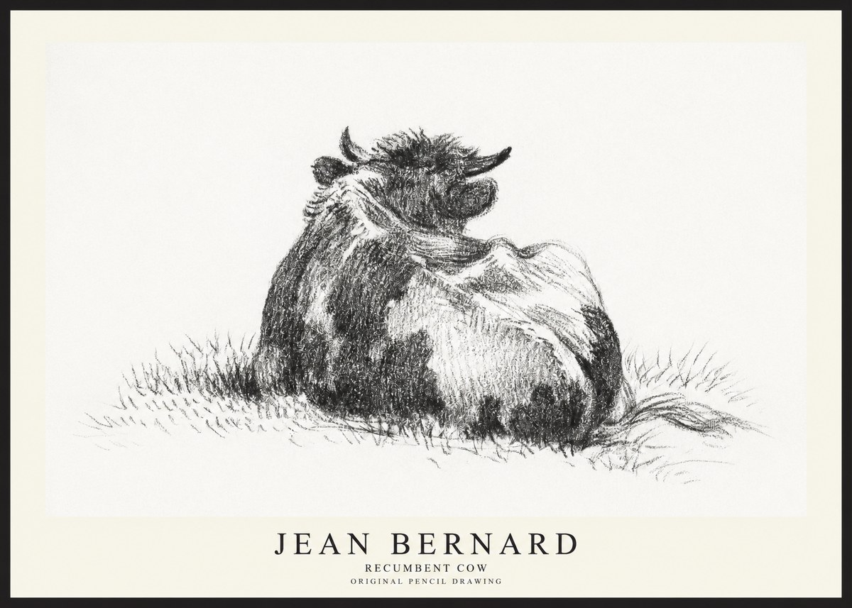 Jean Bernard Resting Highland Cow No3 - Juliste