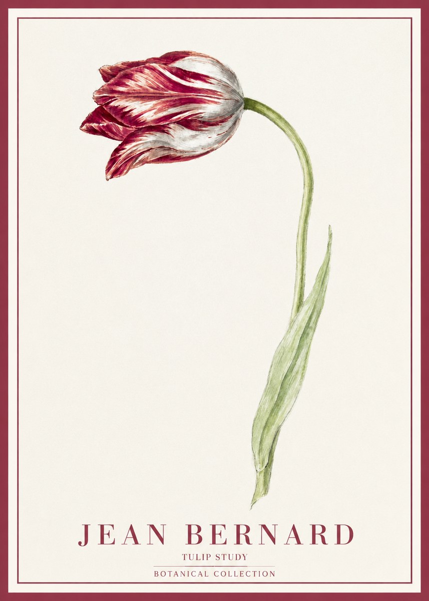 Jean Bernard Tulip Study No1 - Juliste