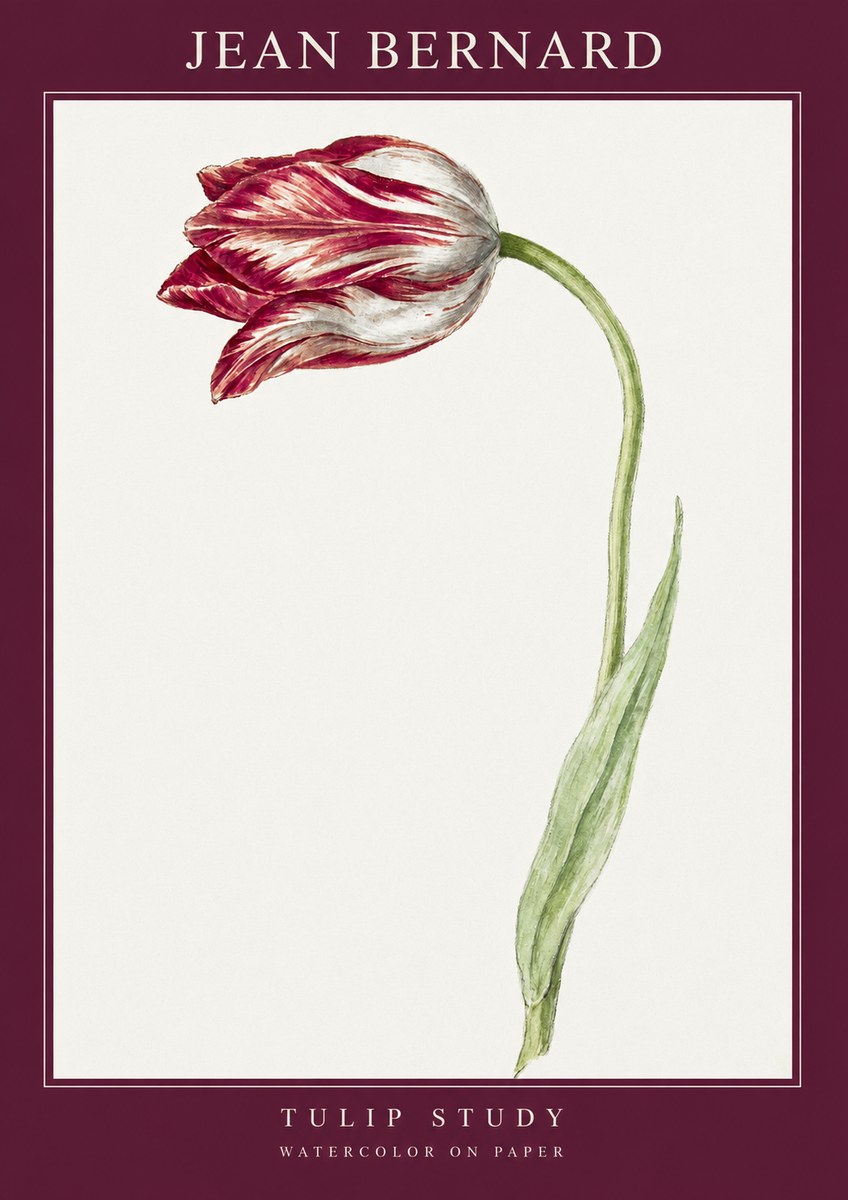 Jean Bernard Tulip Study No2 - Juliste