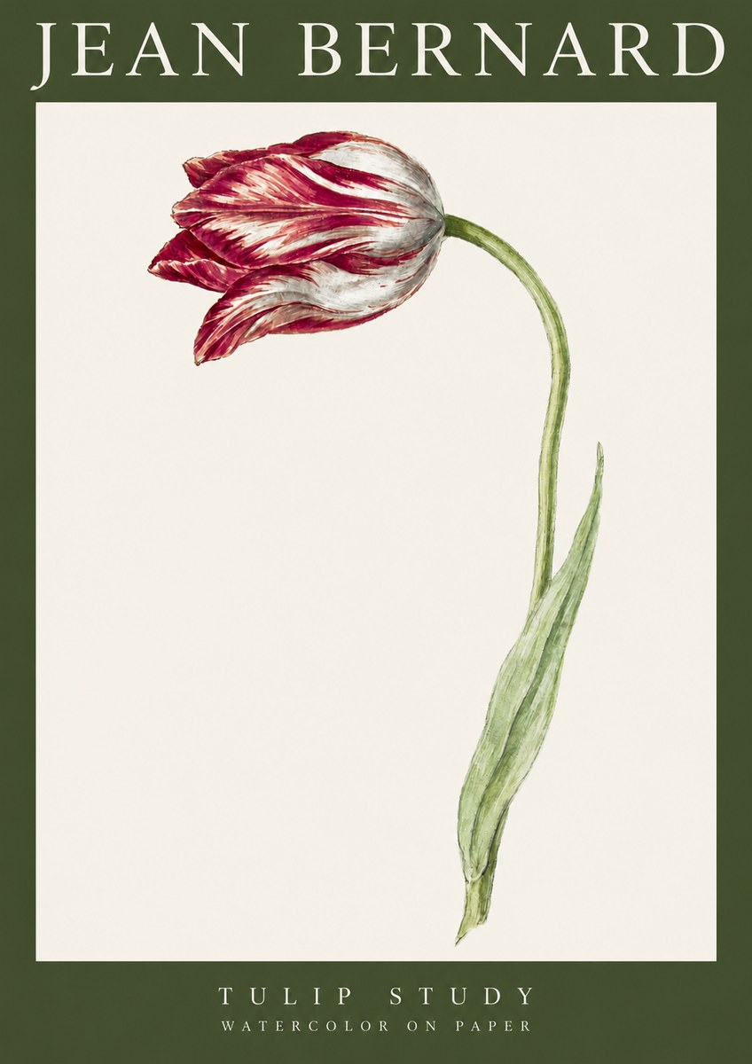 Jean Bernard Tulip Study No3 - Juliste