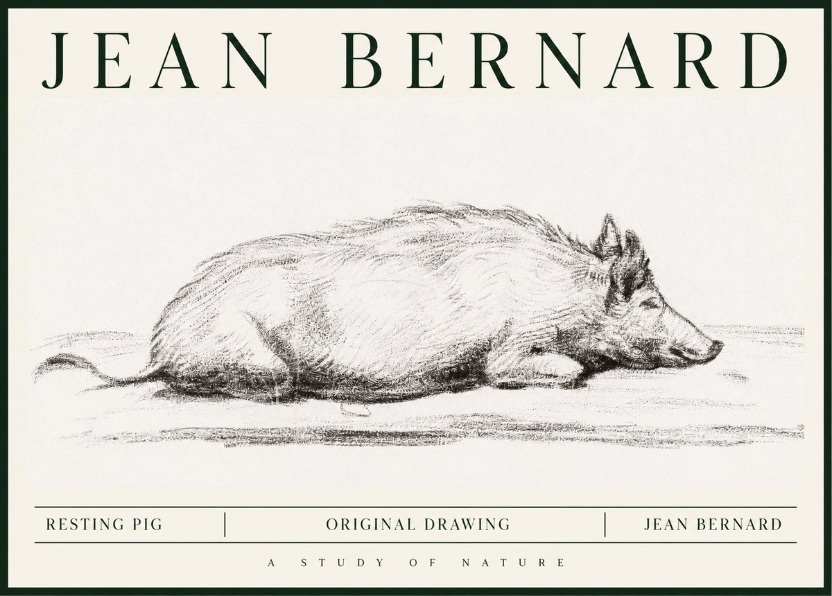 Jean Bernard Resting Pig I No1 - Juliste