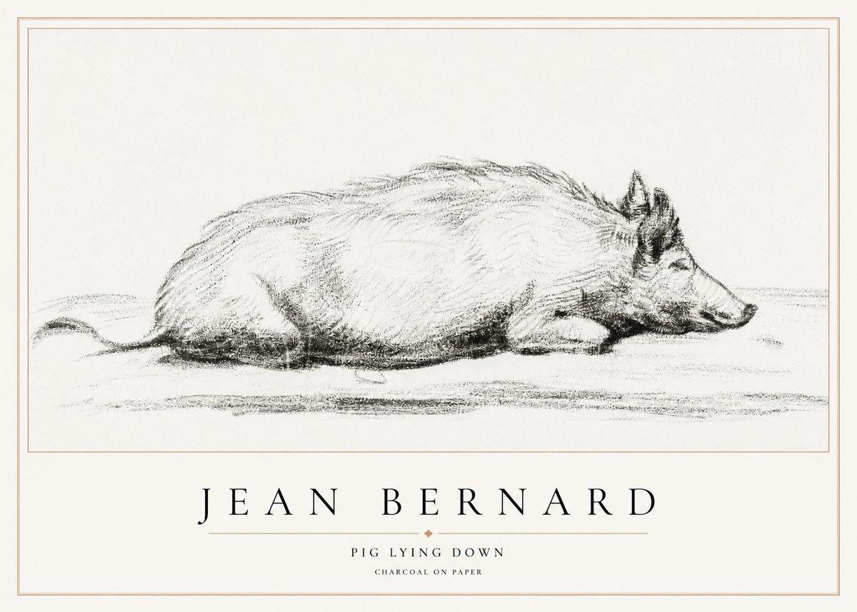 Jean Bernard Resting Pig I No2 - Juliste