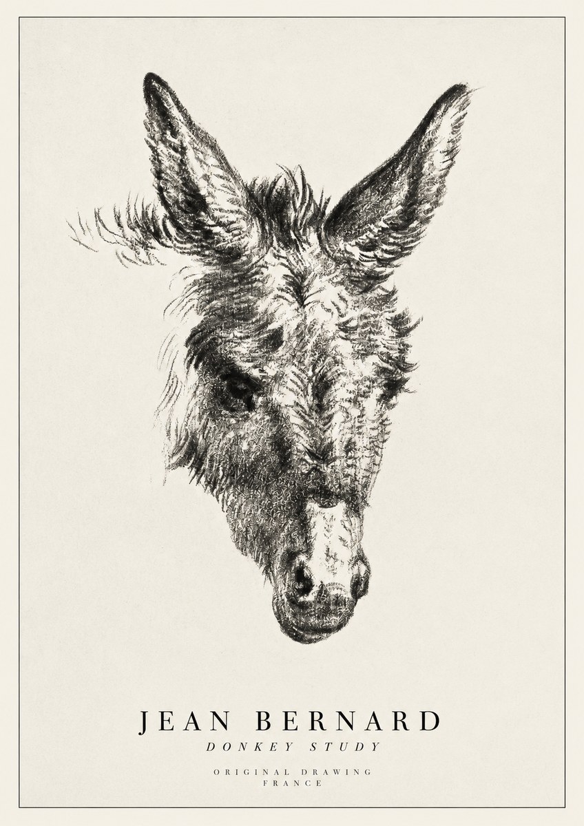 Jean Bernard Donkey Study IV No1 - Juliste
