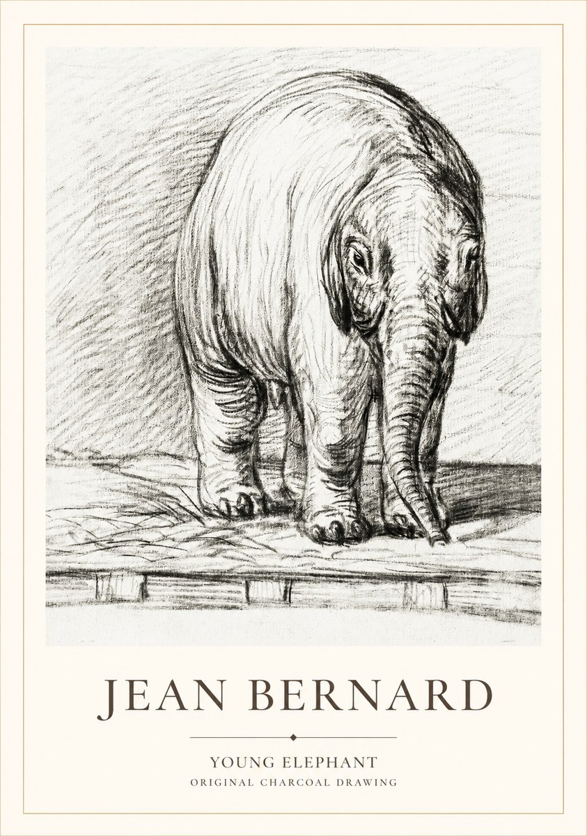 Jean Bernard Young Elephant No1 - Juliste