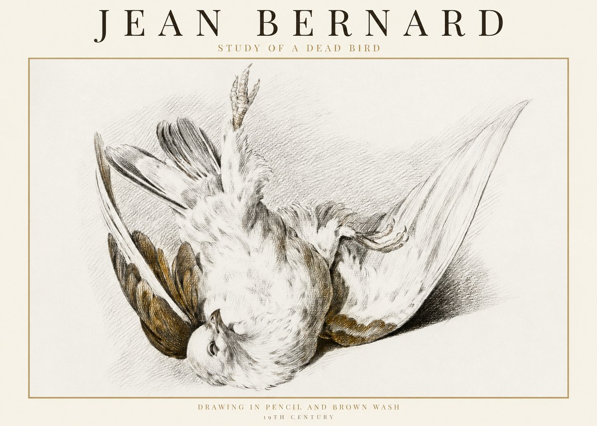 Jean Bernard Study of a Dead Bird No1 - Juliste
