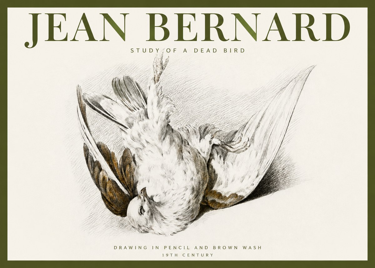 Jean Bernard Study of a Dead Bird No2 - Juliste