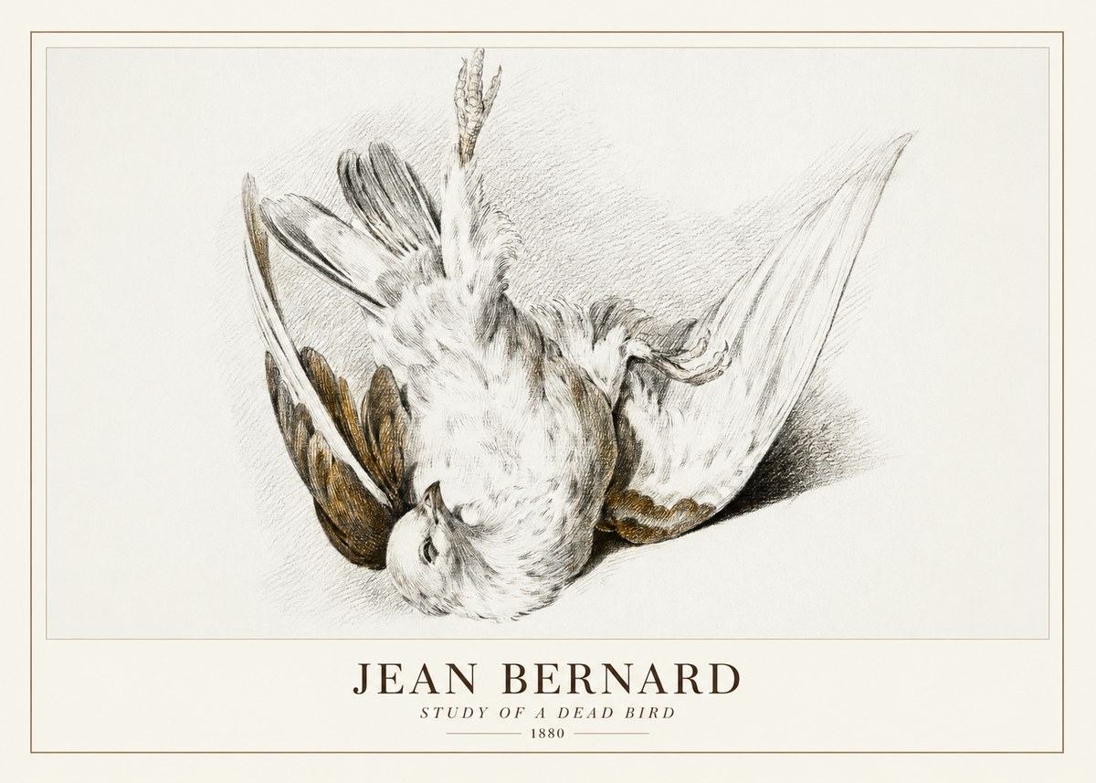 Jean Bernard Study of a Dead Bird No3 - Juliste