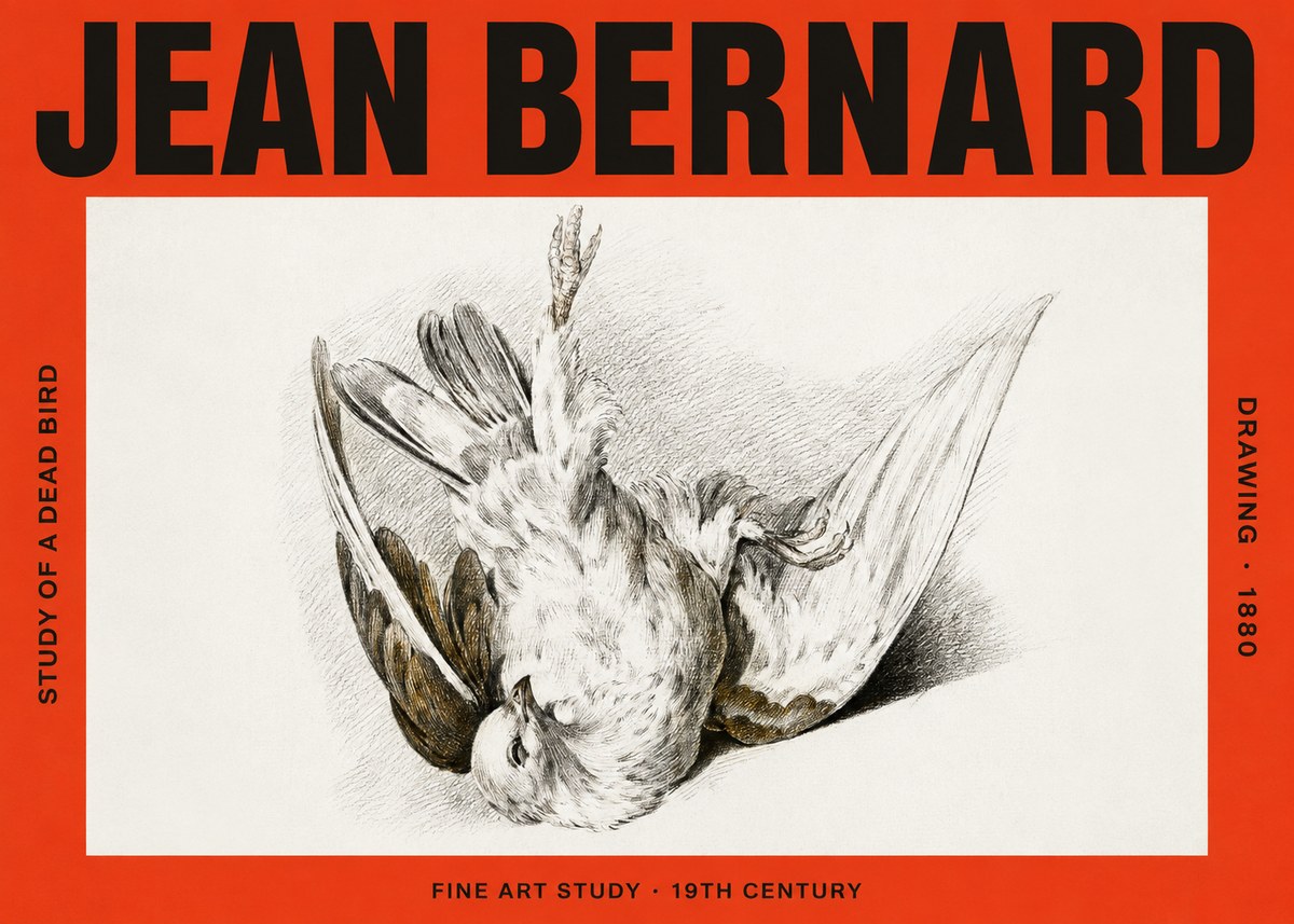 Jean Bernard Study of a Dead Bird No4 - Juliste