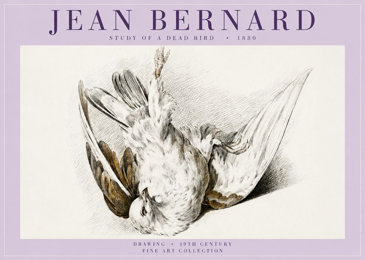 Jean Bernard Study of a Dead Bird No5 - Juliste