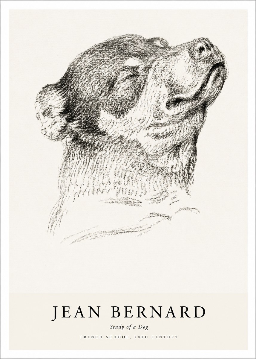 Jean Bernard Study of a Dog III No1 - Juliste