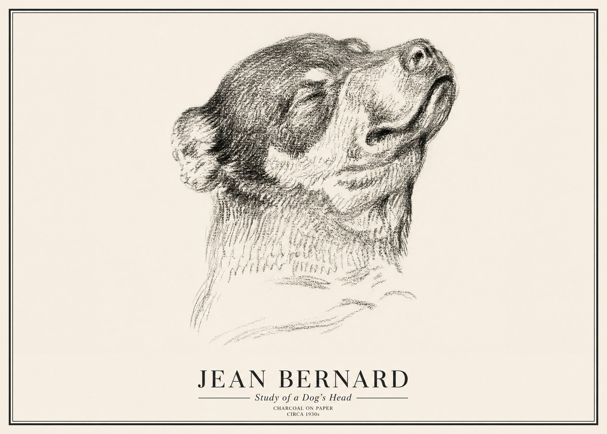 Jean Bernard Study of a Dog III No3 - Juliste