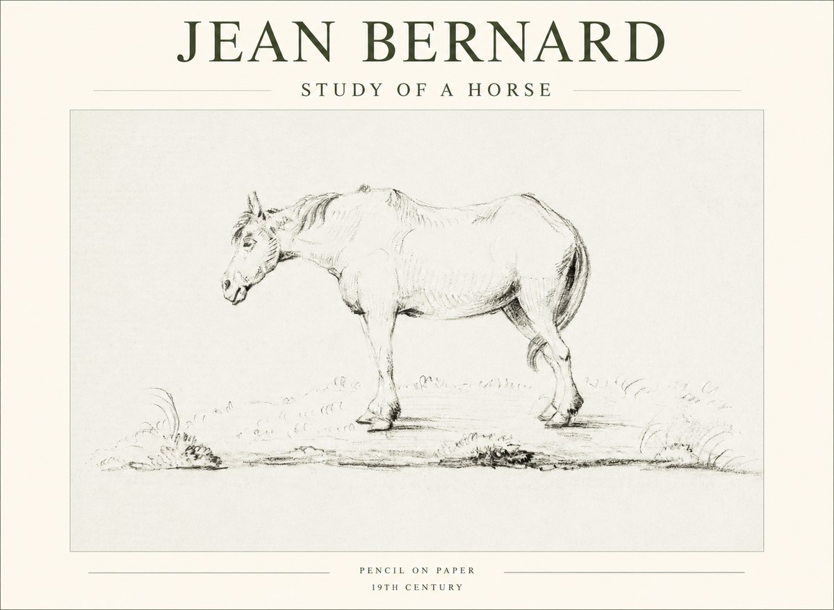 Jean Bernard Study of a Horse IX No1 - Juliste