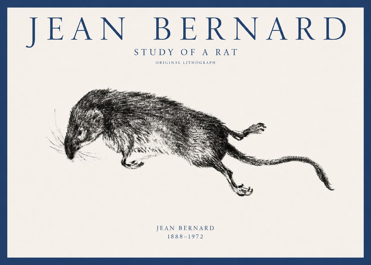 Jean Bernard Study of a Rat II No1 - Juliste