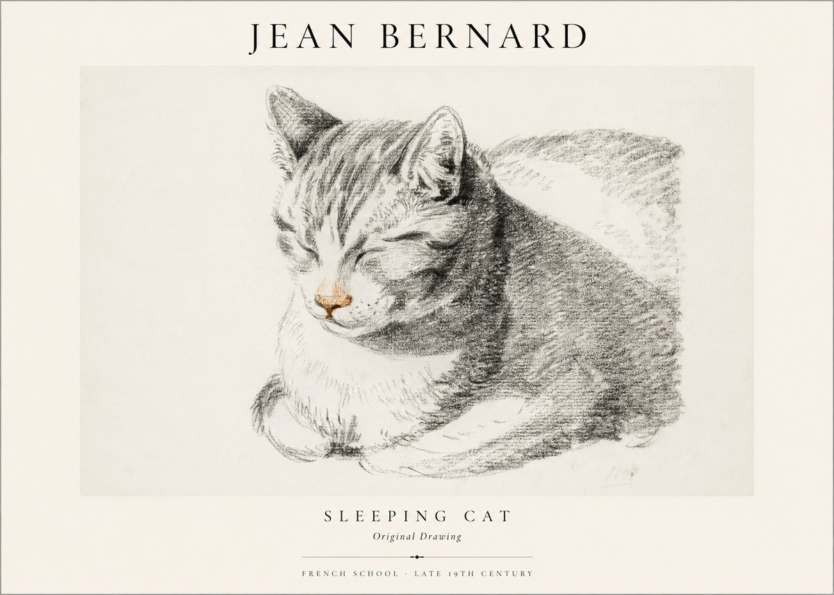 Jean Bernard Sleeping Cat VI No1 - Juliste