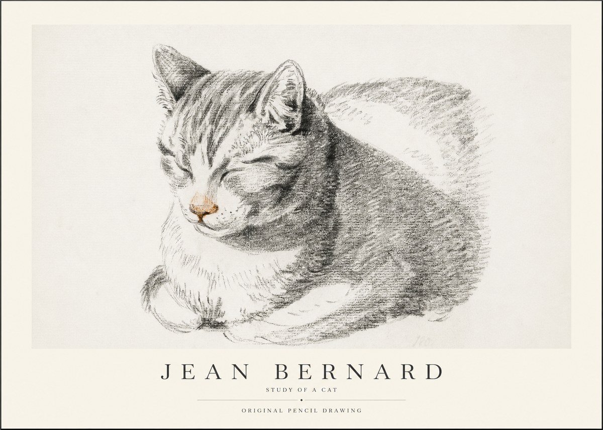 Jean Bernard Sleeping Cat VI No2 - Juliste