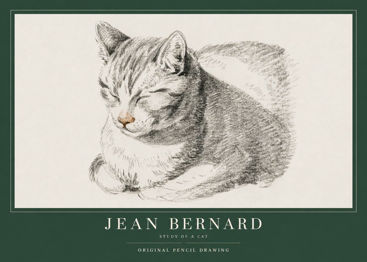 Jean Bernard Sleeping Cat VI No4 - Juliste