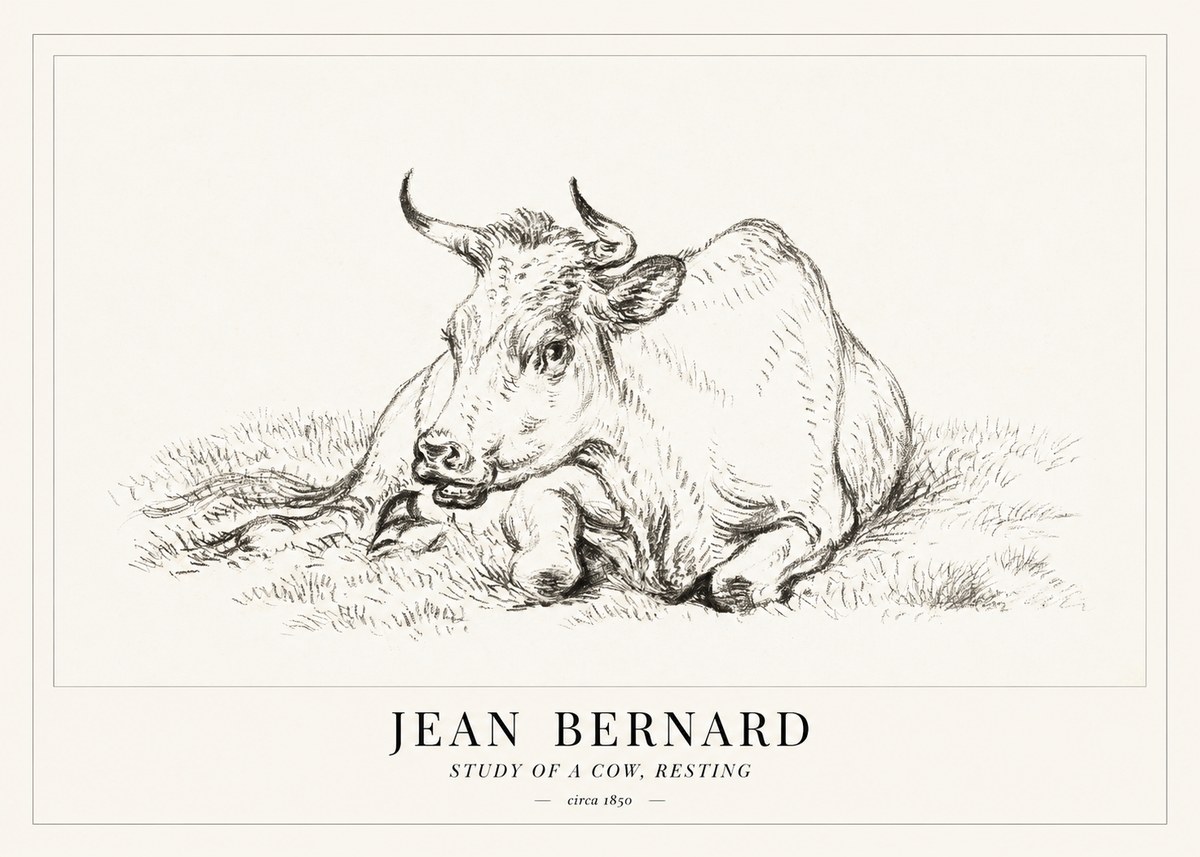 Jean Bernard Study of a Cow, Resting No1 - Juliste