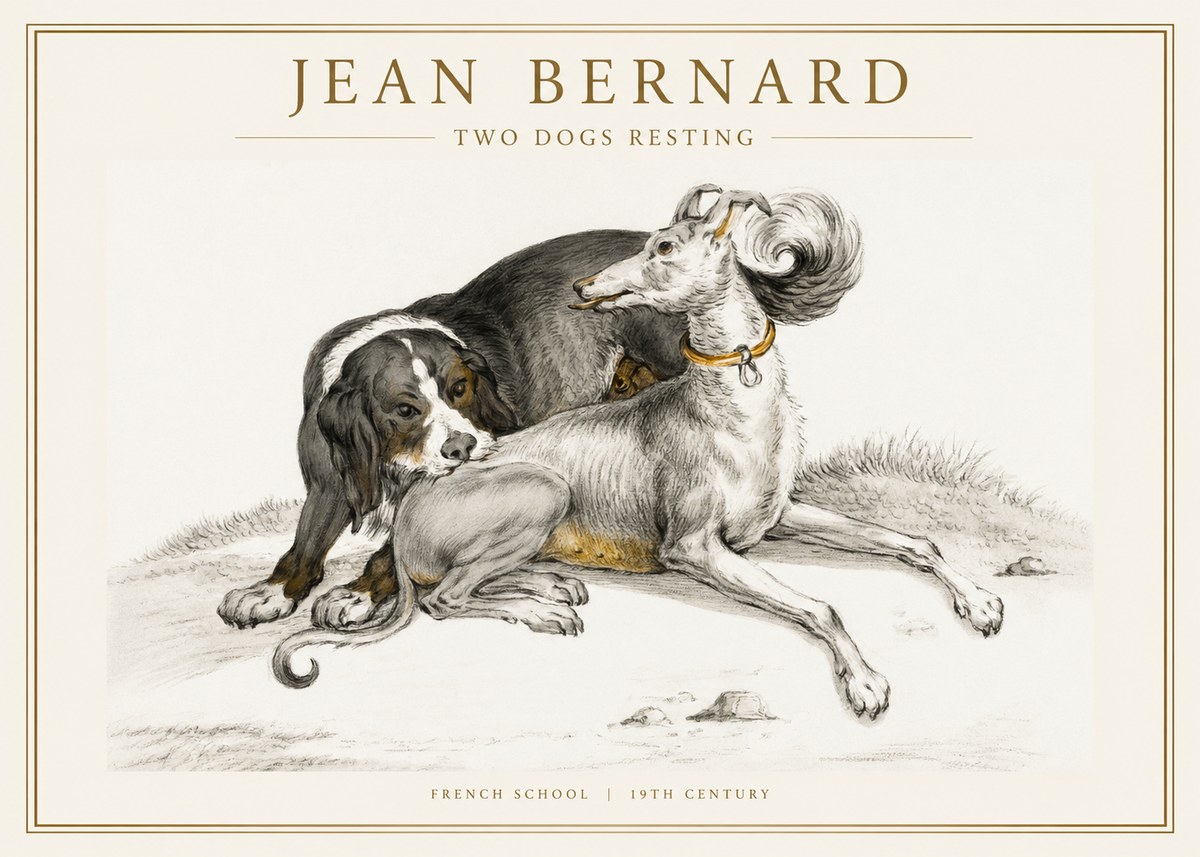 Jean Bernard Two Dogs Resting No1 - Juliste