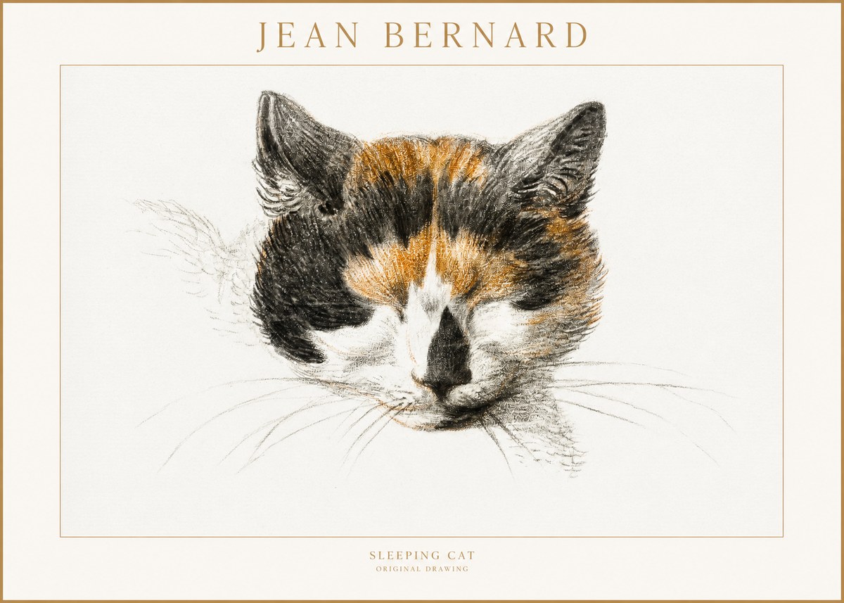 Jean Bernard Cat Study VIII No4 - Juliste