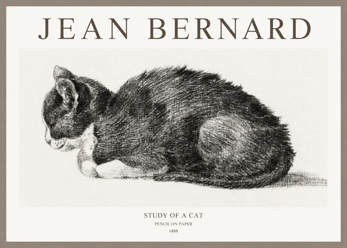 Jean Bernard Sleeping Cat VII No6 - Juliste
