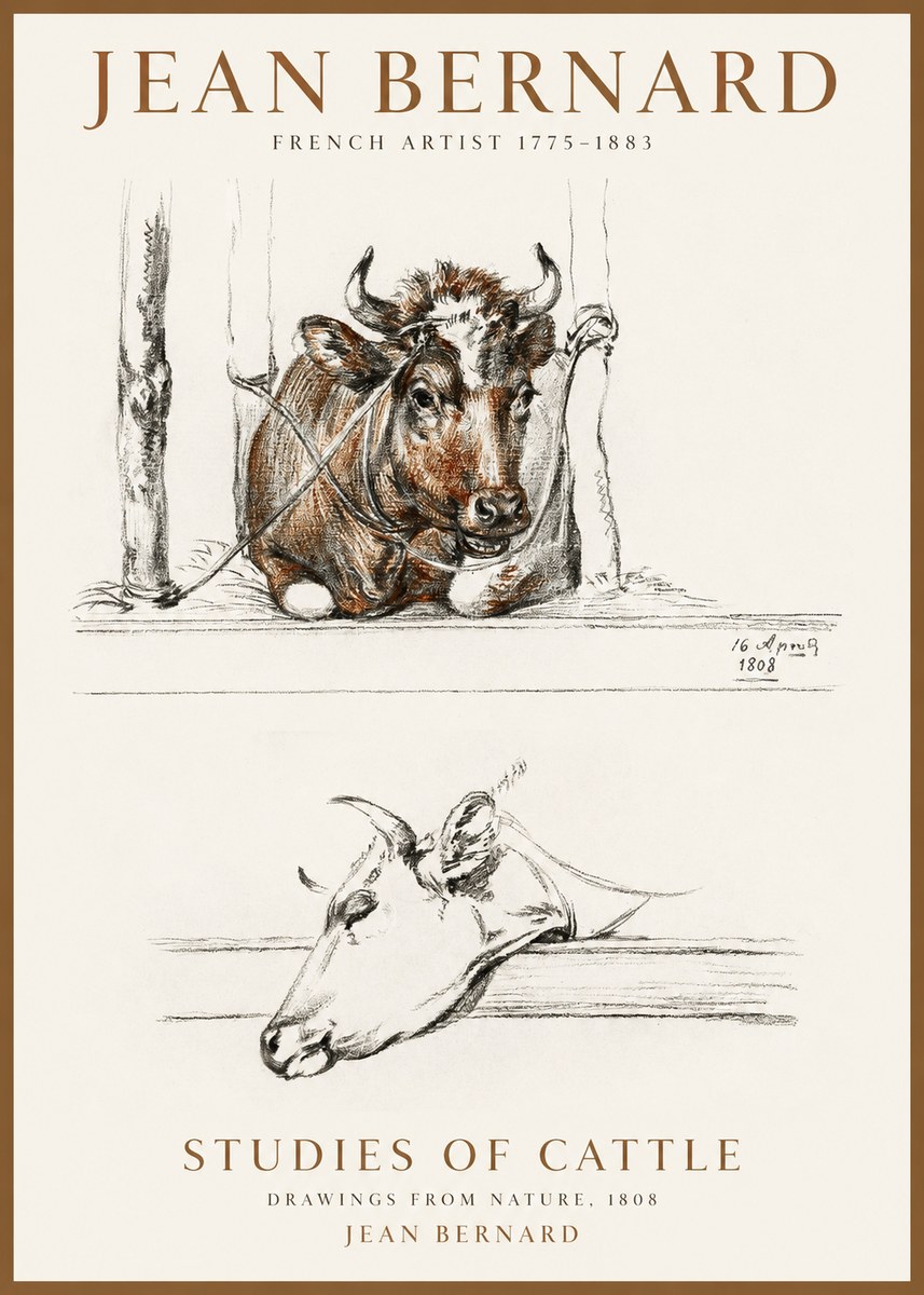 Jean Bernard Studies of Cattle III No1 - Juliste