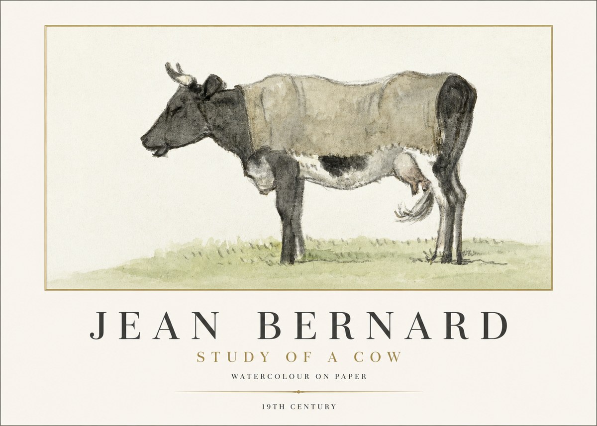 Jean Bernard Study of a Cow IX No1 - Juliste