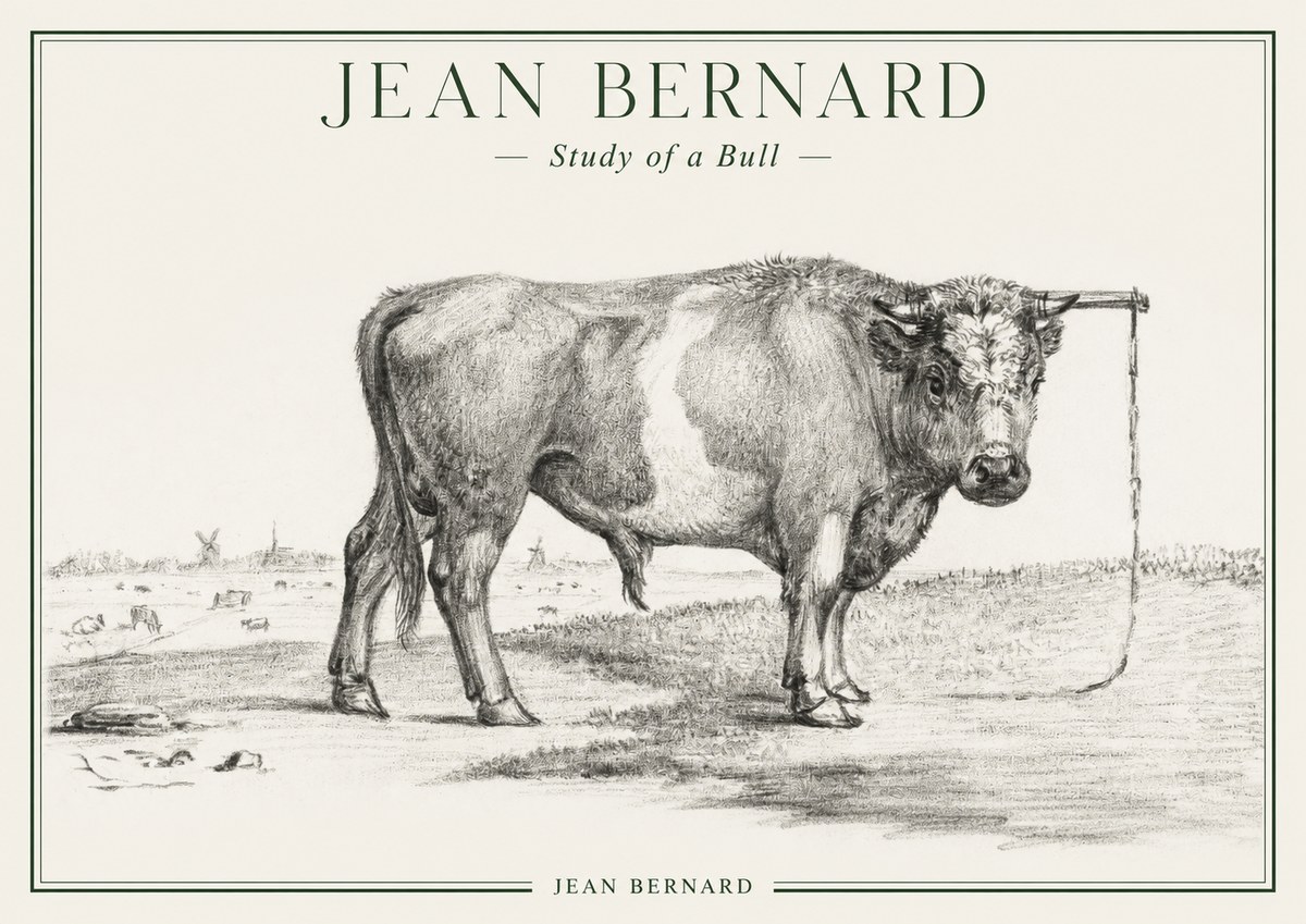 Jean Bernard Study of a Bull III No1 - Juliste