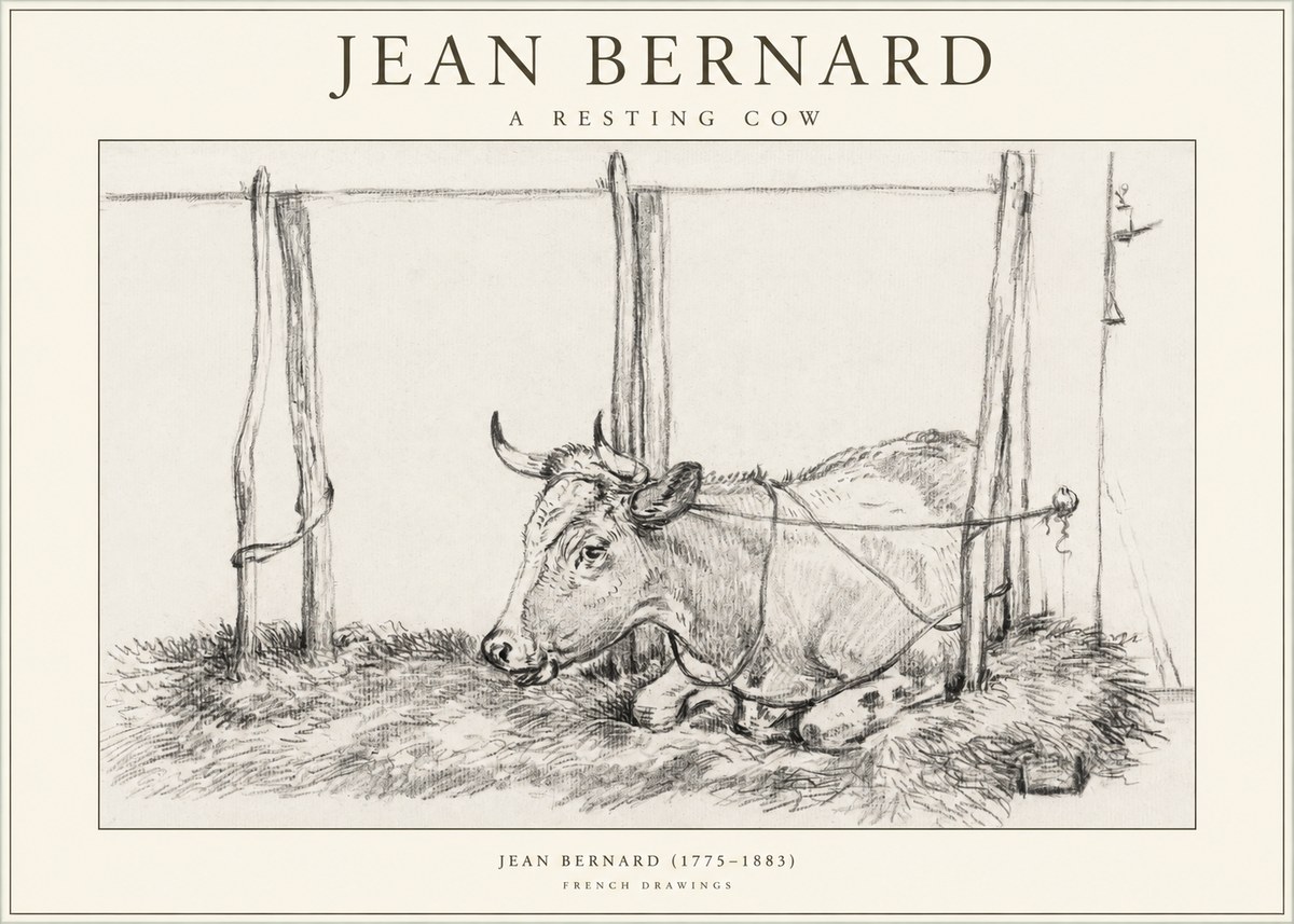 Jean Bernard A Resting Cow No1 - Juliste