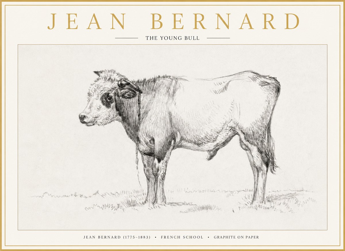 Jean Bernard The Young Bull No1 - Juliste