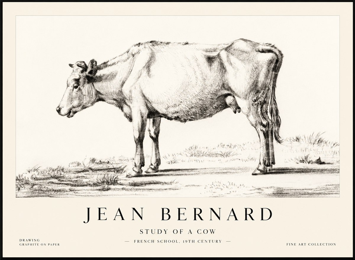 Jean Bernard Study of a Cow XI No2 - Juliste