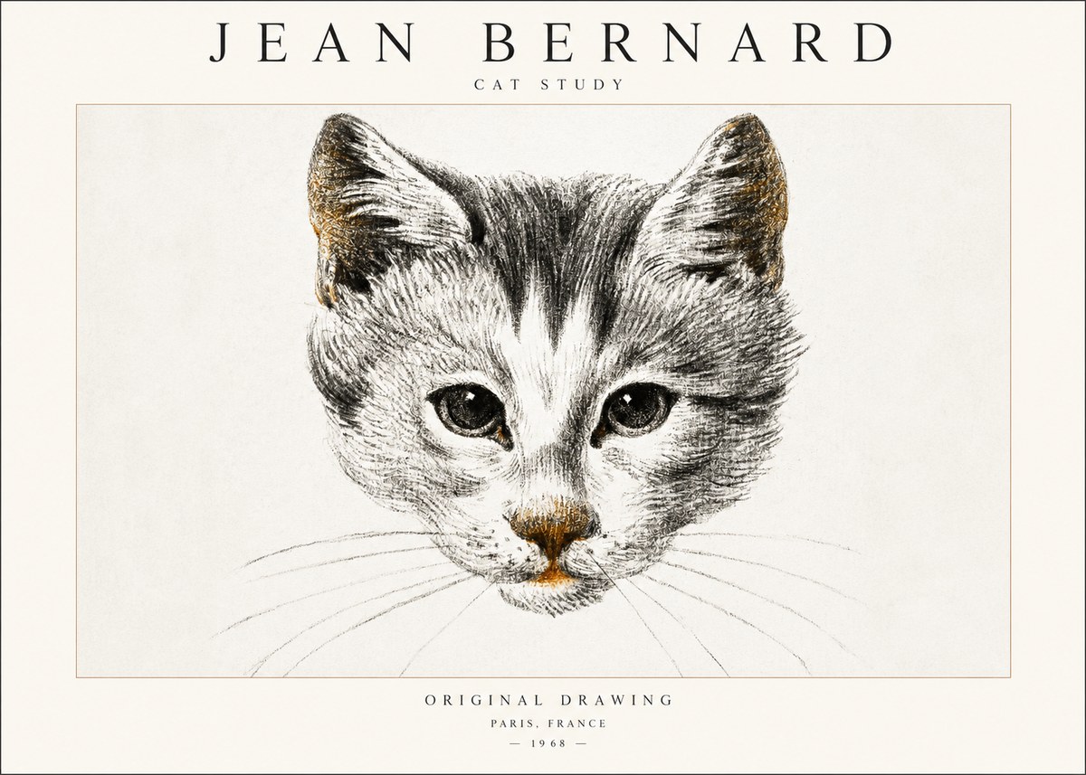 Jean Bernard Cat Study IX No6 - Juliste