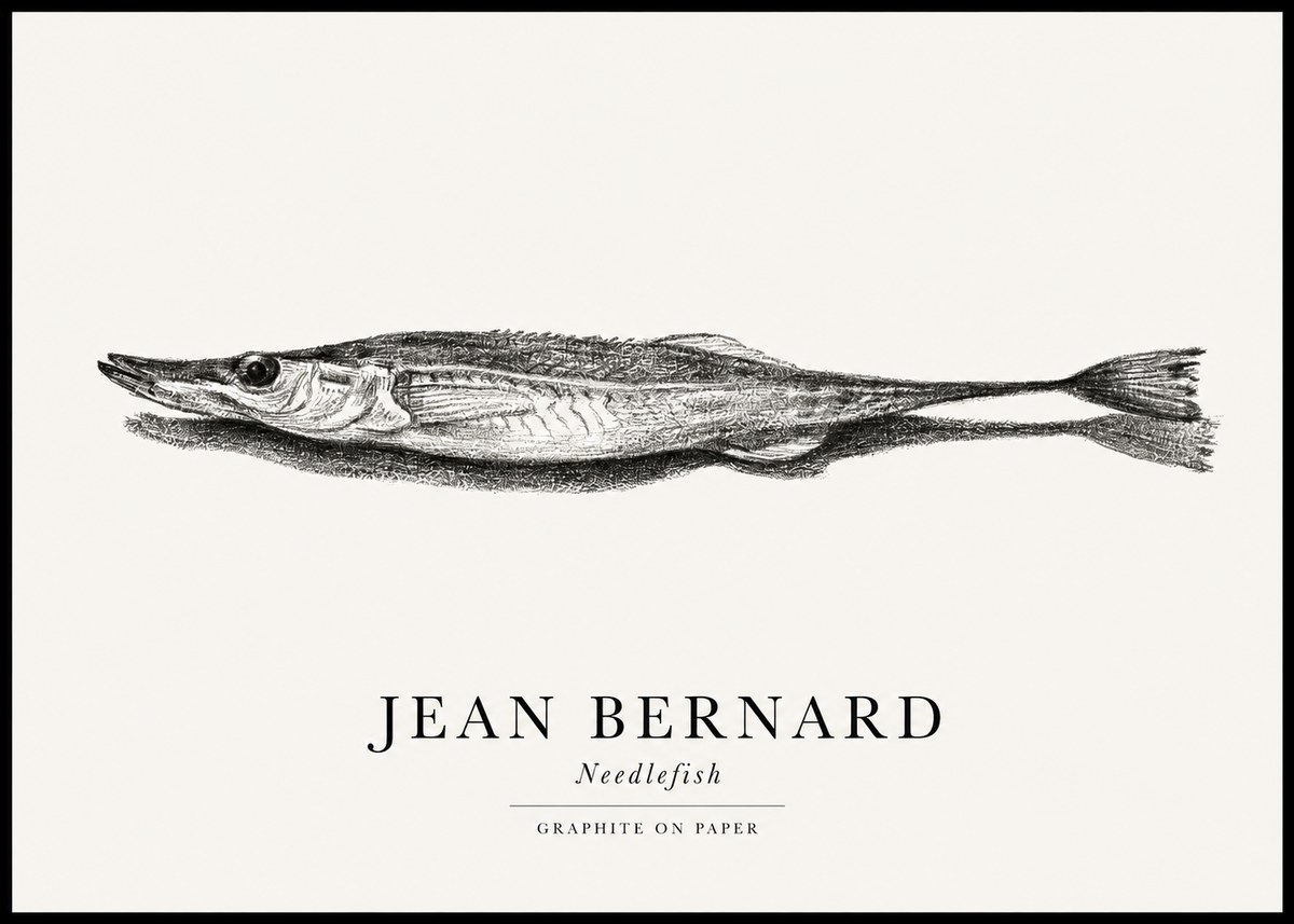 Jean Bernard Needlefish No1 - Juliste