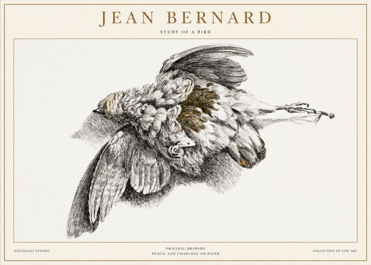 Jean Bernard Study of a Bird III No1 - Juliste