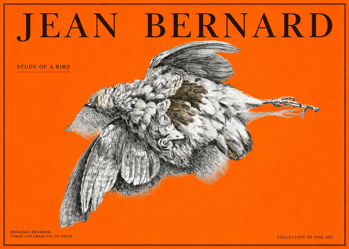 Jean Bernard Study of a Bird III No2 - Juliste