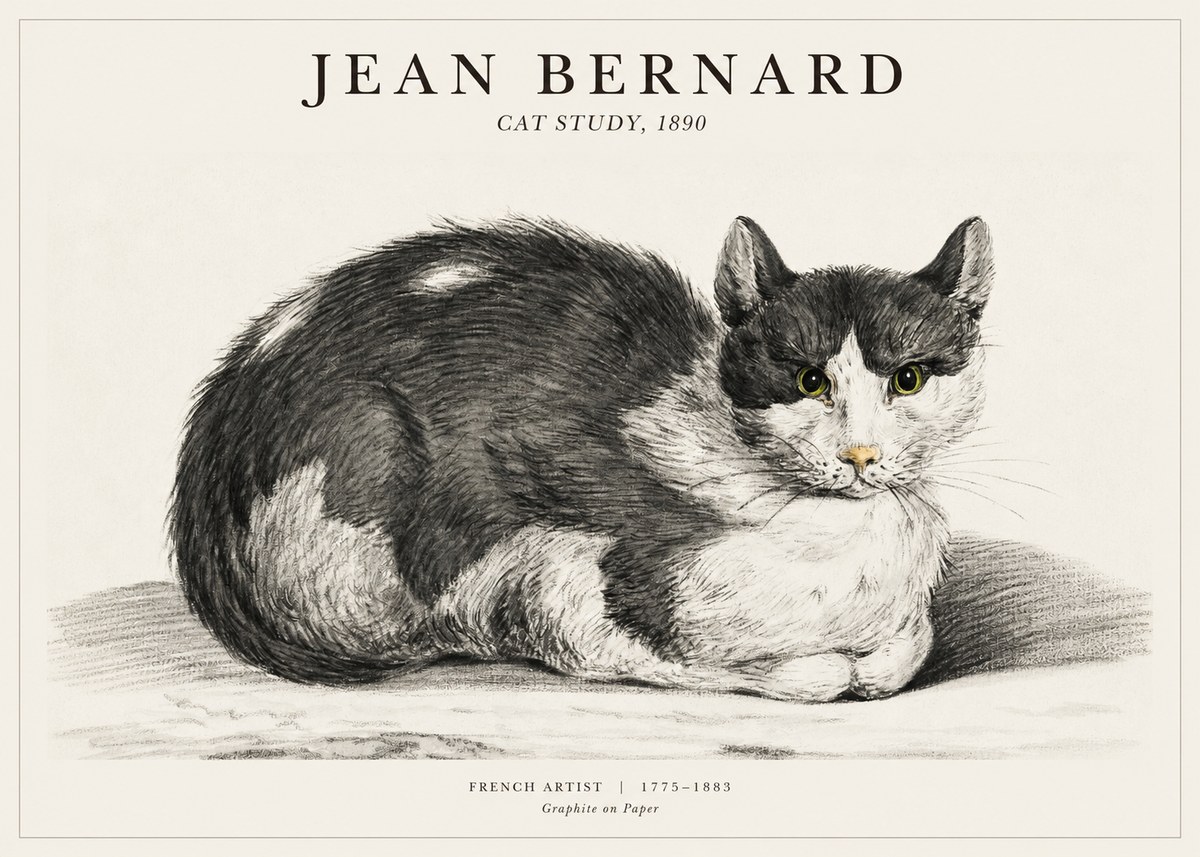 Jean Bernard Cat Resting No3 - Juliste