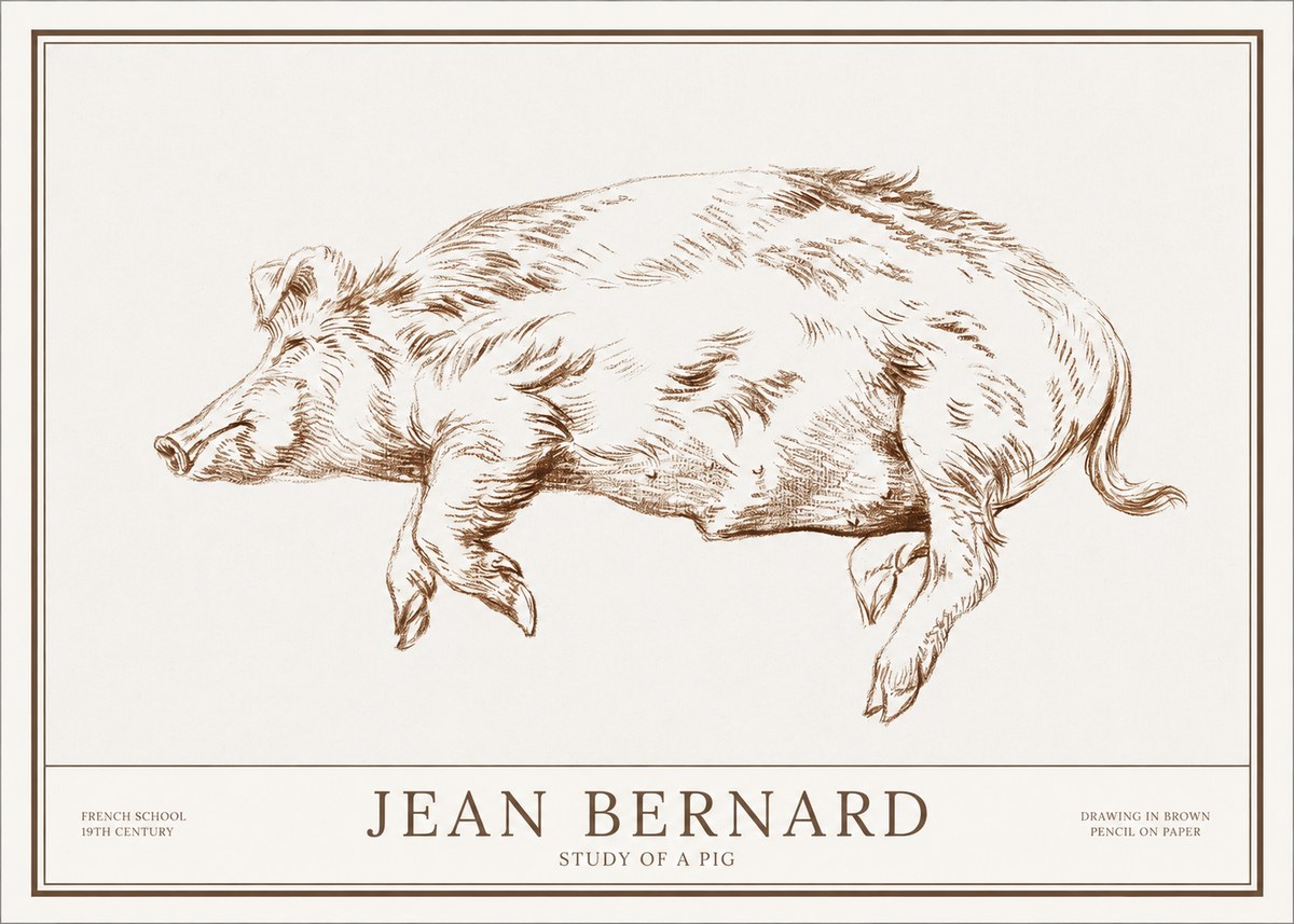 Jean Bernard Study of a Pig II No1 - Juliste