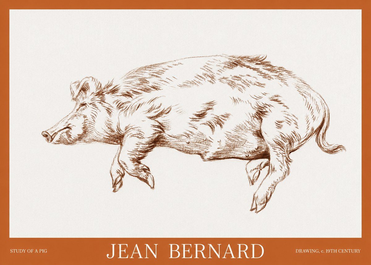 Jean Bernard Study of a Pig II No6 - Juliste