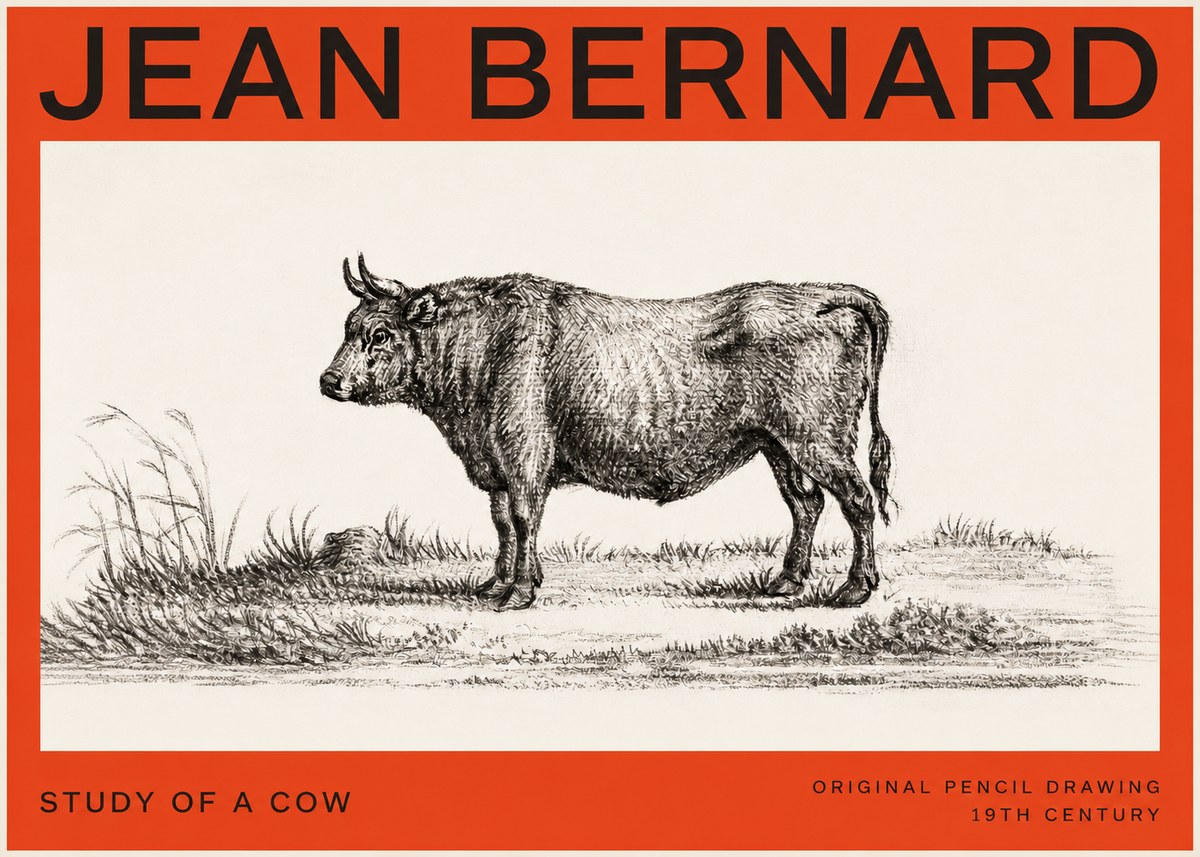 Jean Bernard Study of a Cow XIII No4 - Juliste