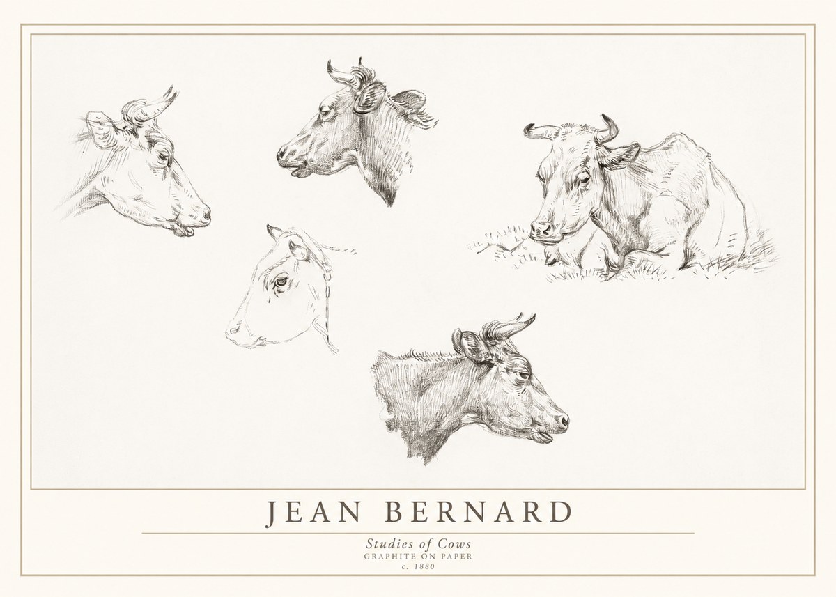 Jean Bernard Studies of Cows I No1 - Juliste