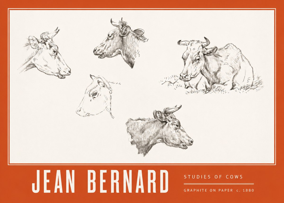 Jean Bernard Studies of Cows I No3 - Juliste