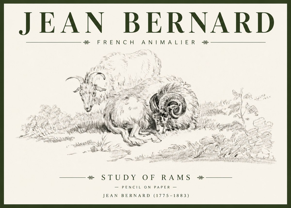 Jean Bernard Study of Sheep No6 - Juliste